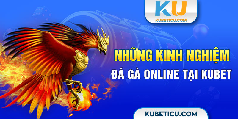 Những kinh nghiệm đá gà online tại Kubet